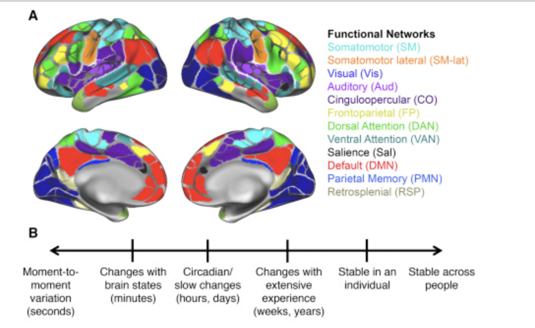 Functional Networks parcellation, a common example of the currently accepted functional networks